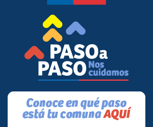 Paso a Paso