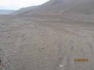 IMG_9208