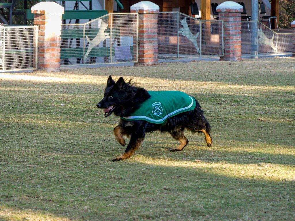 99° aniversario de Carabineros de Chile