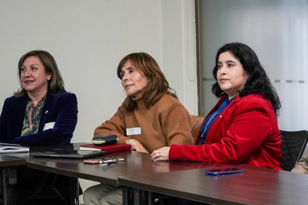 Seremis de Bienes Nacionales