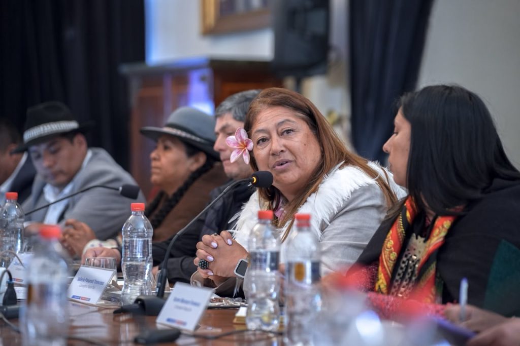 Consejo Nacional de CONADI